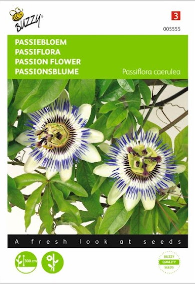 Passiflora caerulea (blauwe passiebloem) 40 zaden BU